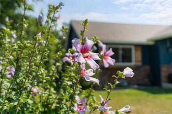 1142 S Edinburgh Dr, Loveland, CO 80537