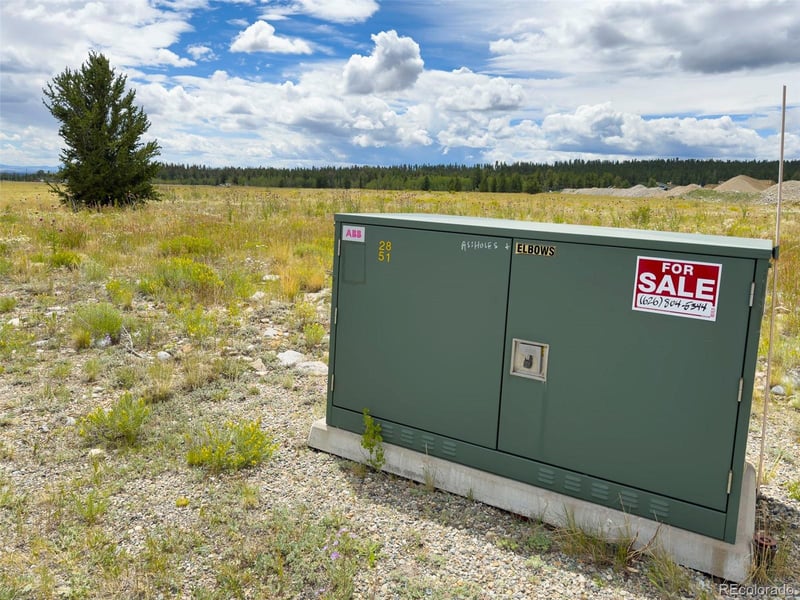 0001 Platte Dr, Fairplay, CO 80440