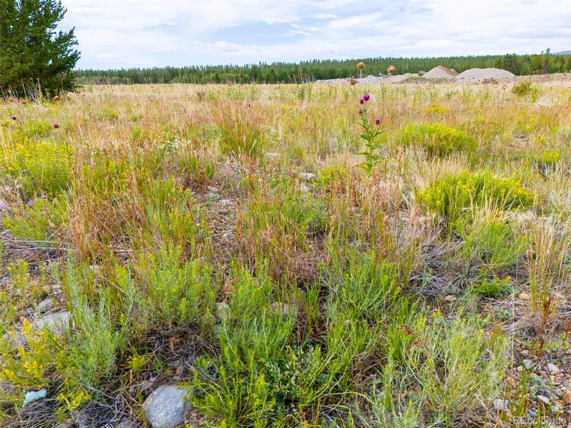 0001 Platte Dr, Fairplay, CO 80440