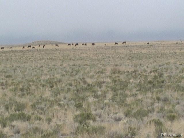 Arriba Rd Lot 4, Blanca, CO 81123