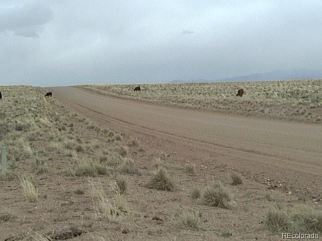 Arriba Rd Lot 4, Blanca, CO 81123