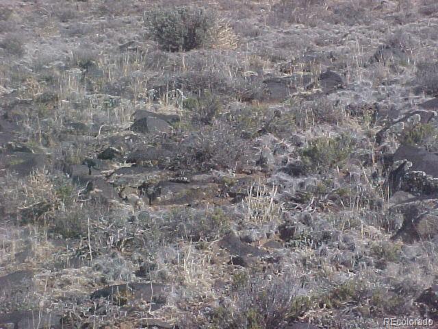 23rd St Lot 5, Fort Garland, CO 81133
