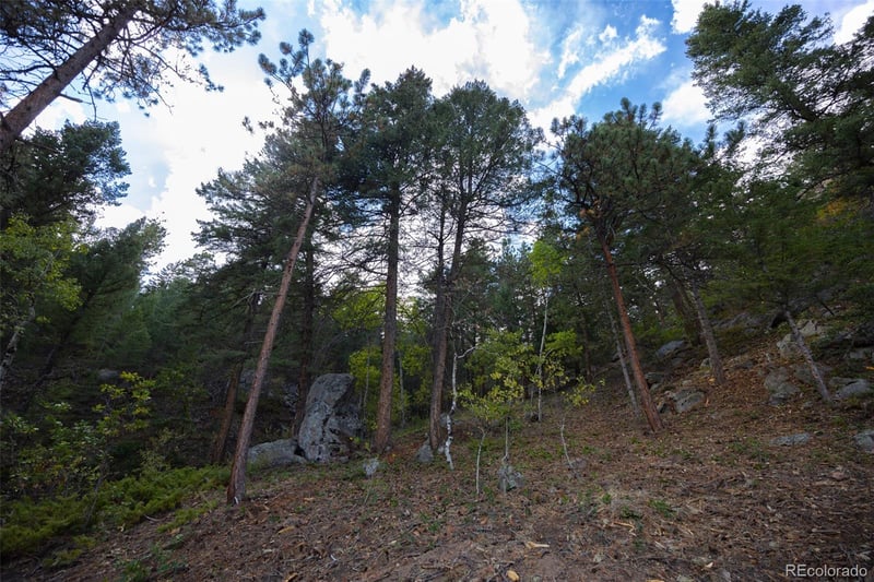 9489 S Turkey Creek Rd, Morrison, CO 80465