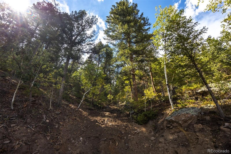 9489 S Turkey Creek Rd, Morrison, CO 80465