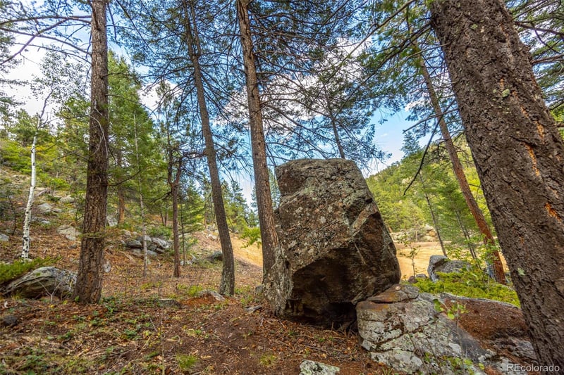 9489 S Turkey Creek Rd, Morrison, CO 80465
