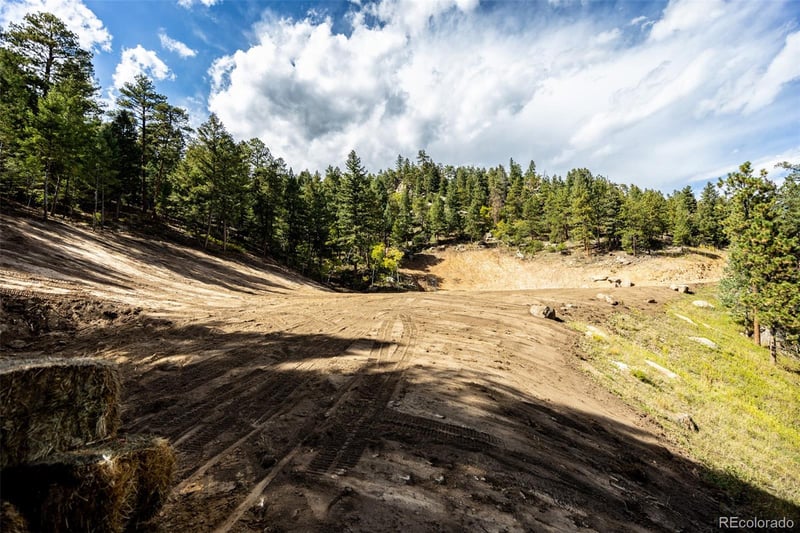 9489 S Turkey Creek Rd, Morrison, CO 80465