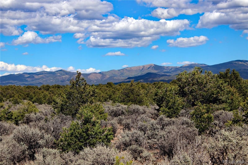 Lot 8 N Melby Ranch Rd, San Luis, CO 81152