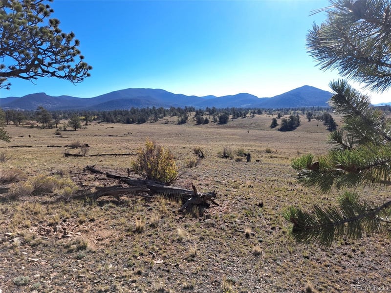 508 Grand Teton Dr, Hartsel, CO 80449