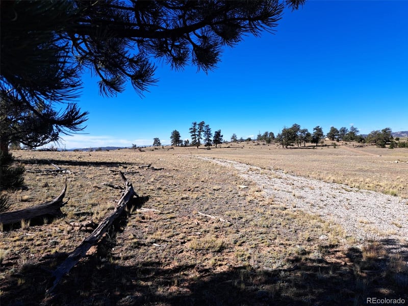 508 Grand Teton Dr, Hartsel, CO 80449