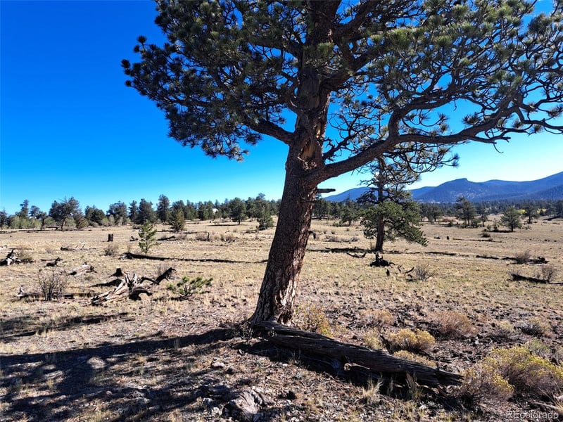 508 Grand Teton Dr, Hartsel, CO 80449