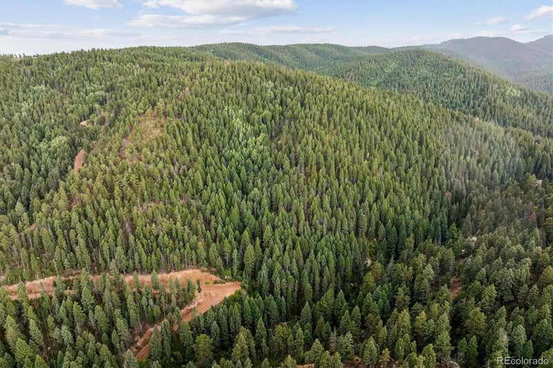 Forest Ln, Larkspur, CO 80118