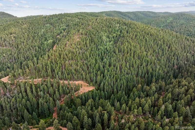 Forest Ln, Larkspur, CO 80118