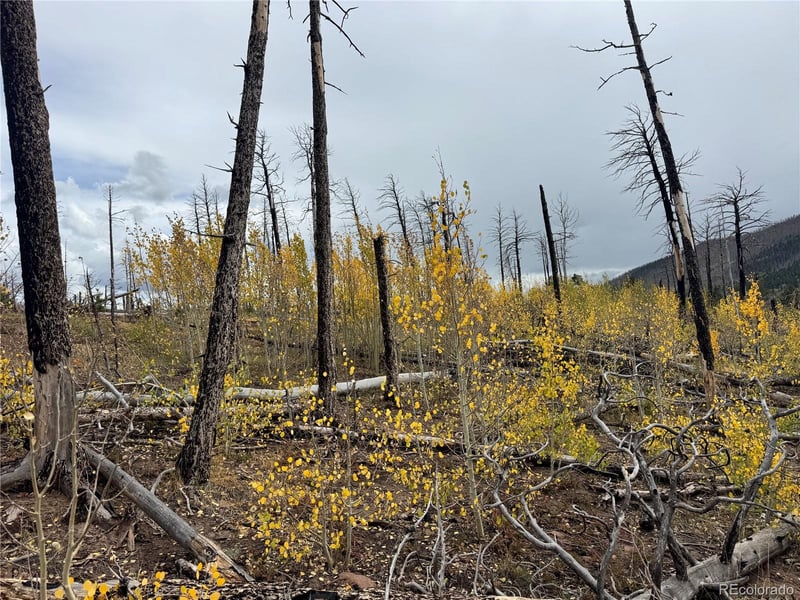 lot 1797 Marr Loop, Fort Garland, CO 81133
