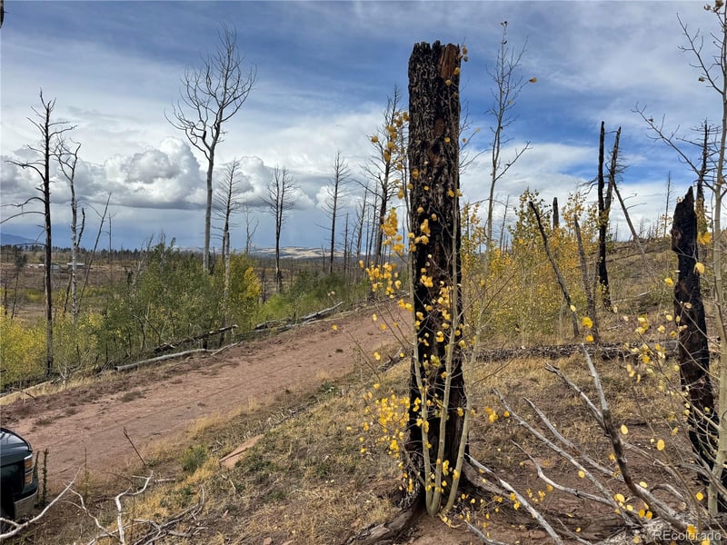 lot 1797 Marr Loop, Fort Garland, CO 81133