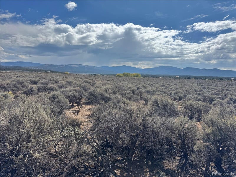 lot 649 Wilder Rd, Fort Garland, CO 81133