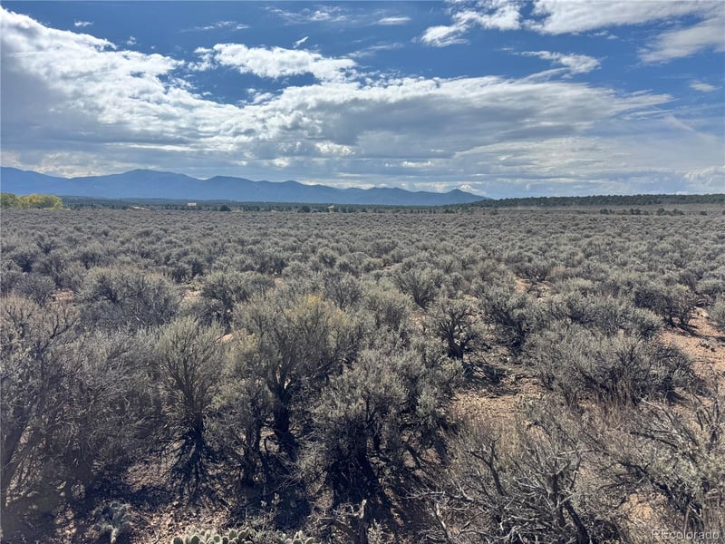 lot 649 Wilder Rd, Fort Garland, CO 81133