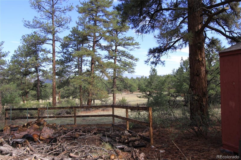939 19th Trl, Cotopaxi, CO 81223