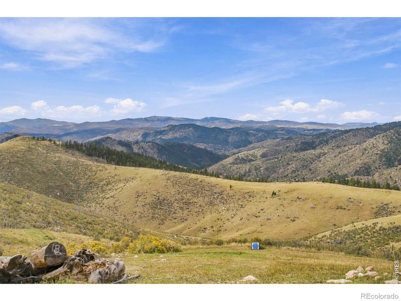 954 Turkey Roost Dr, Livermore, CO 80536