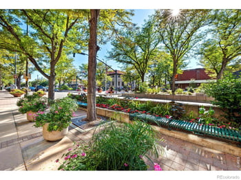 1014 Andrews Peak Dr, Fort Collins, CO 80521