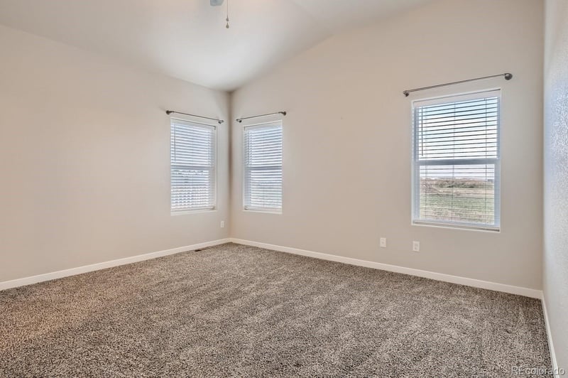 1841 Holloway Dr, Windsor, CO 80550