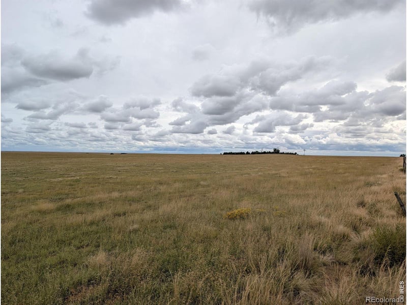 Hwy 94, Rush, CO 80833
