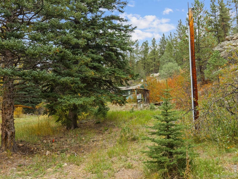 653 Fox Creek Rd, Glen Haven, CO 80532