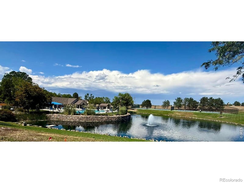 11343 Grove St, Westminster, CO 80031
