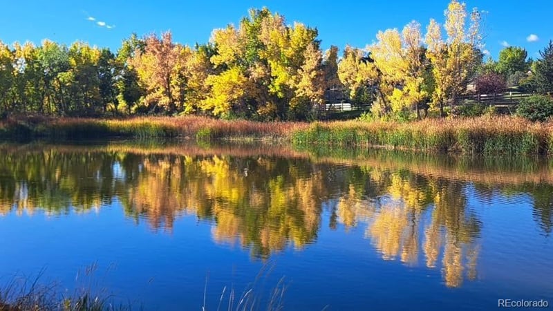 9815 W Freiburg Dr #G, Littleton, CO 80127