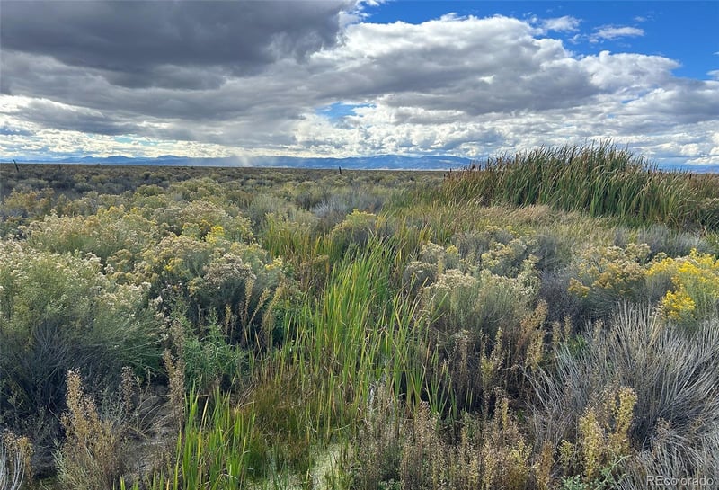 none Highway 17, Moffat, CO 81143