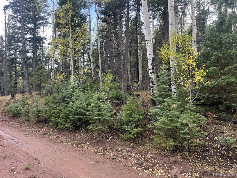 2954 Larry Pl Lot 2954, Fort Garland, CO 81133