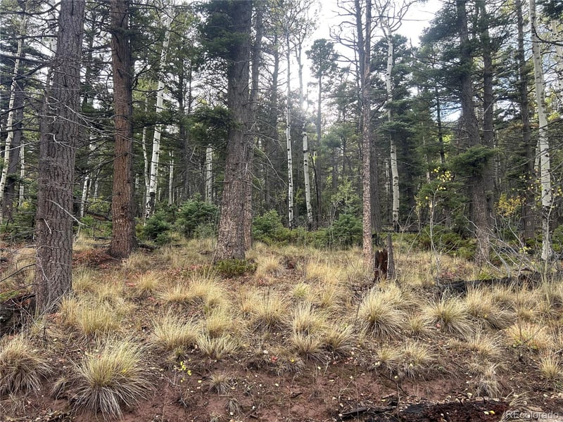2954 Larry Pl Lot 2954, Fort Garland, CO 81133