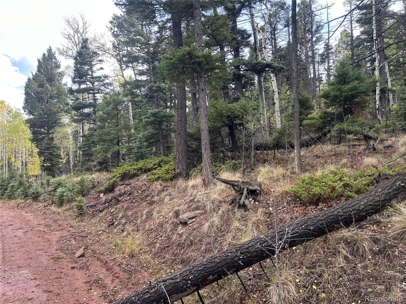 2954 Larry Pl Lot 2954, Fort Garland, CO 81133