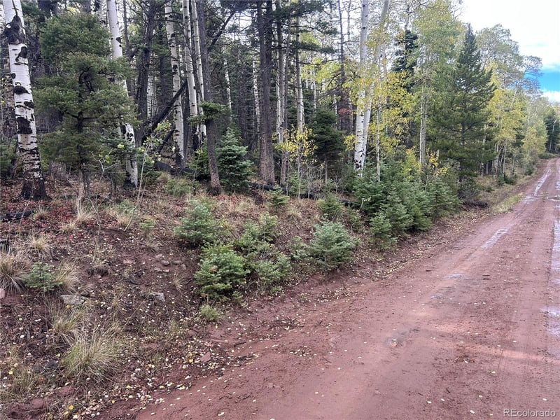 2954 Larry Pl Lot 2954, Fort Garland, CO 81133