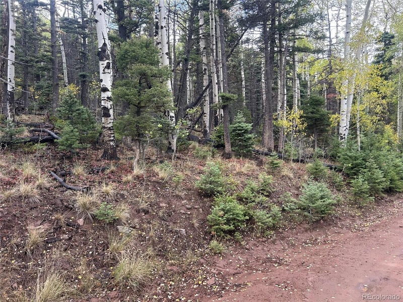 2954 Larry Pl Lot 2954, Fort Garland, CO 81133