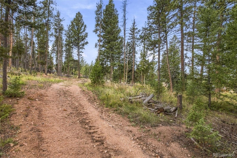 27687 Pine Grove Trl Lot 45, 46, 53, Conifer, CO 80433