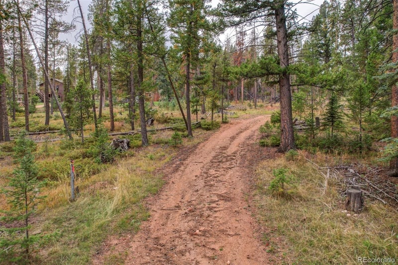 27687 Pine Grove Trl Lot 45, 46, 53, Conifer, CO 80433
