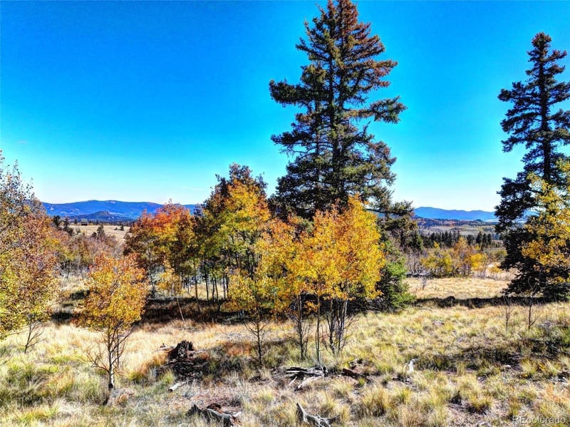 74 Antelope Cir, Como, CO 80456
