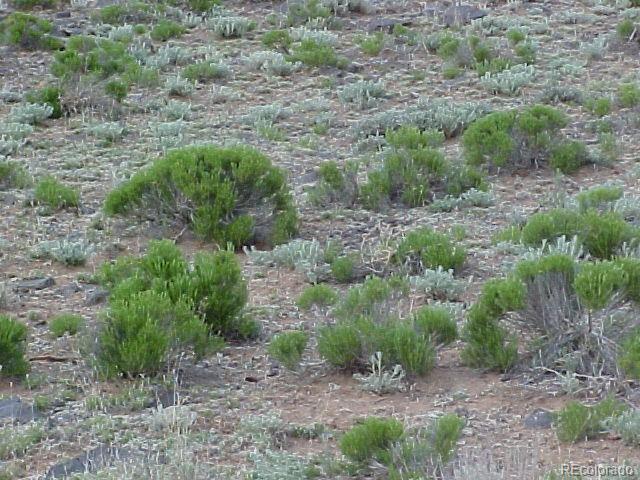 14TH Shoshone St Lot 10, Fort Garland, CO 81133