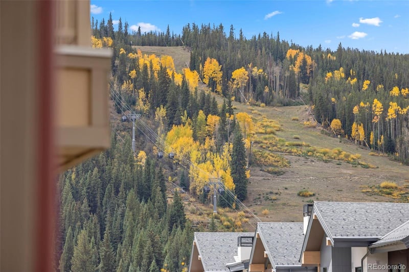 20 Hunkidori Ct #2294, Dillon, CO 80435