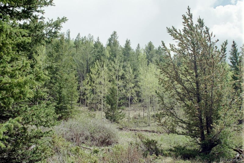 6669 Battenburg Rd Lot 6669, Fort Garland, CO 81133