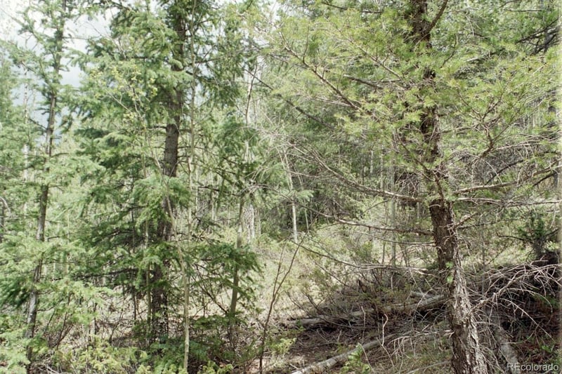 6669 Battenburg Rd Lot 6669, Fort Garland, CO 81133