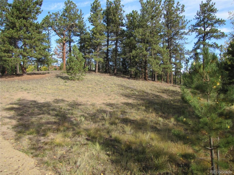Lot 666 Bellows Rd Lot 666, Hartsel, CO 80449