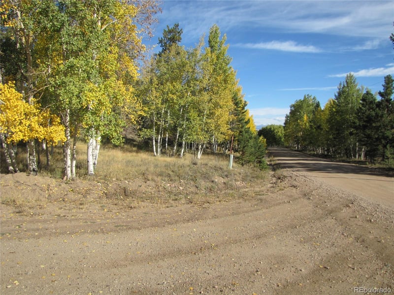 Lot 666 Bellows Rd Lot 666, Hartsel, CO 80449