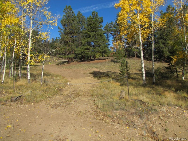 Lot 666 Bellows Rd Lot 666, Hartsel, CO 80449