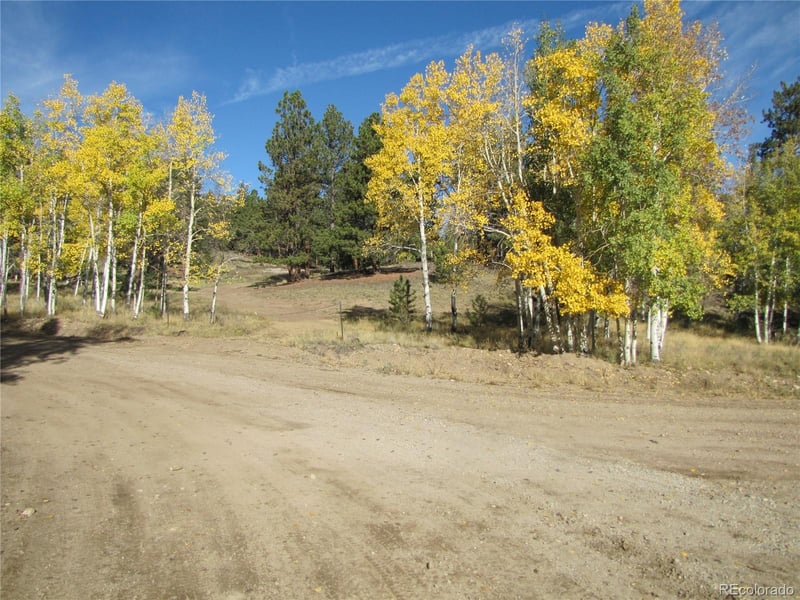 Lot 666 Bellows Rd Lot 666, Hartsel, CO 80449