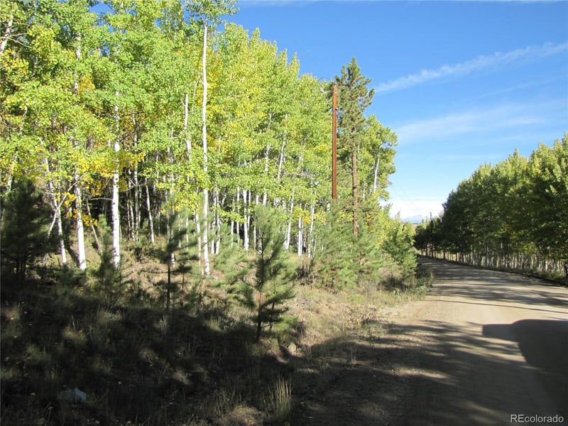 Lot 700 Campfire Rd Lot 700, Hartsel, CO 80449