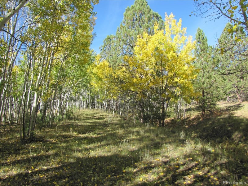 Lot 700 Campfire Rd Lot 700, Hartsel, CO 80449