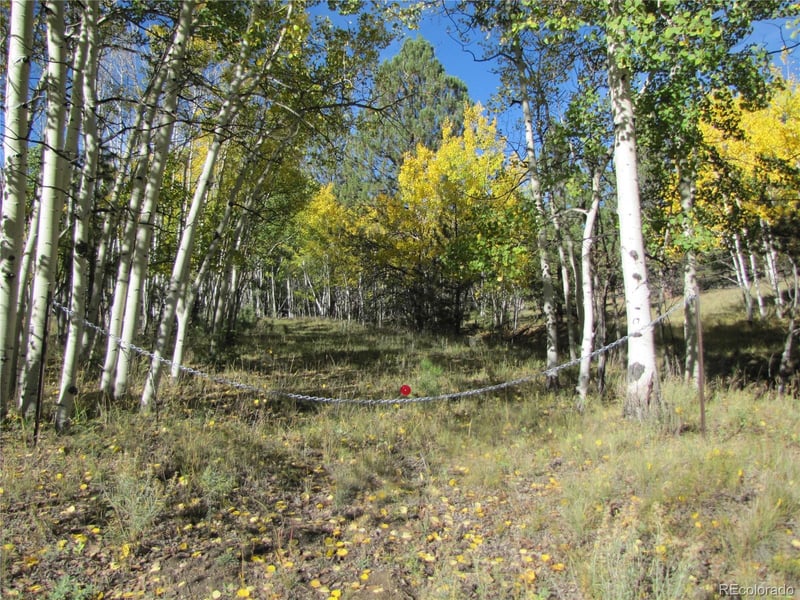 Lot 700 Campfire Rd Lot 700, Hartsel, CO 80449