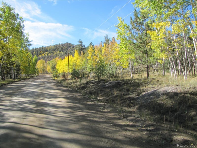 Lot 700 Campfire Rd Lot 700, Hartsel, CO 80449