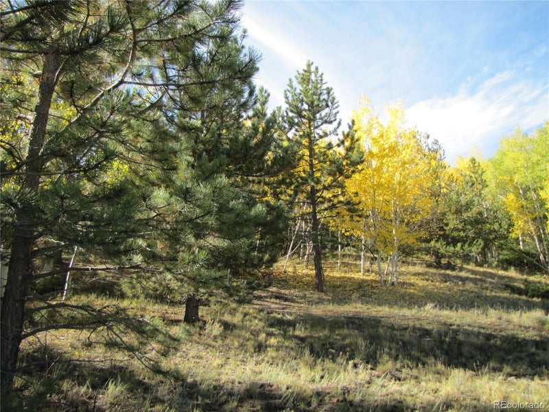 Lot 699 Campfire Rd Lot 699, Hartsel, CO 80449